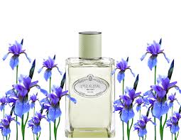 Prada  D"iris EDP -100% HÀNG CHÍNH HÃNG