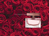 Dolce& Gabbana Rose The One -100% HÀNG CHÍNH HÃNG